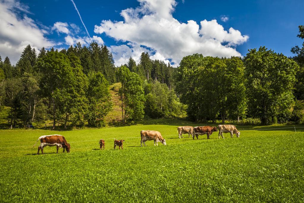 Ferienwohnung Oergenbauer Saalfelden Exteriör bild